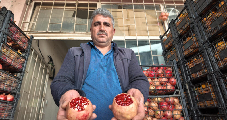Kuraklık Verimi Y&uuml;zde Elli D&uuml;ş&uuml;rd&uuml;