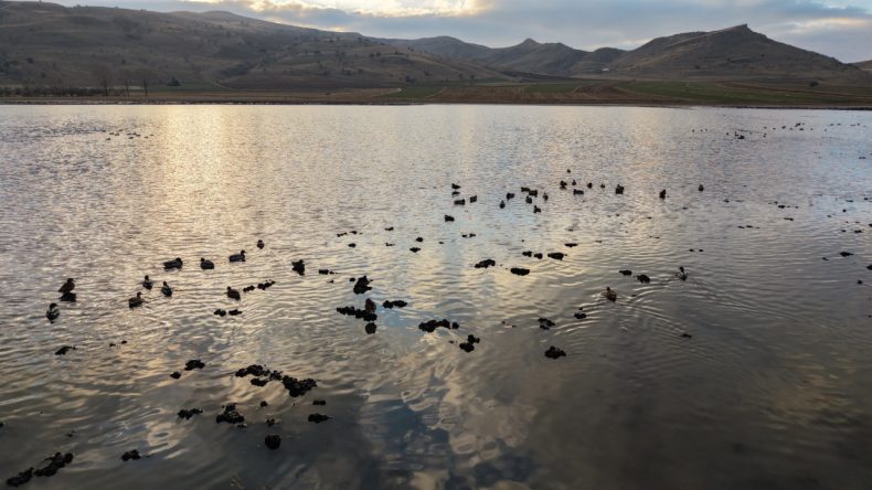 Kuşlar Tekrar D&ouml;n&uuml;yor: G&ouml;l Yeniden Canlandı