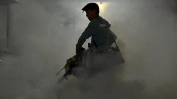 K&uuml;ba'da Sivrisinek Krizi: 33 Can Kaybı