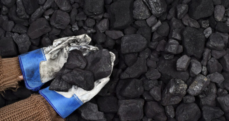 K&uuml;resel K&ouml;m&uuml;r T&uuml;ketimi Rekor D&uuml;zeye Ulaştı