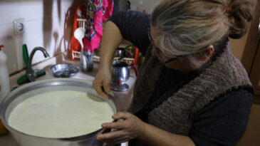 Lezzeti Altın Değerinde: Kilosu 2 Bin Lira