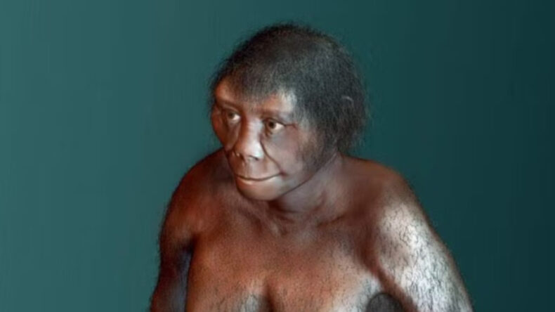 &lsquo;Hobbitlerin' Yok Olma Sebebi Ortaya &Ccedil;ıktı