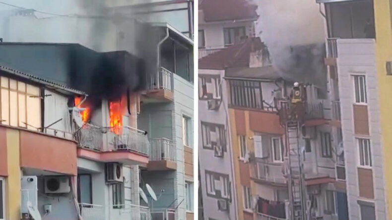 Manisa&rsquo;da Yangın Faciası: 6 Kedi Hayatını Kaybetti