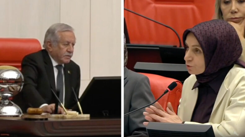 Mecliste Gerilim Tırmandı: MHP'li Adan, AKP'li Usta'ya Tepkili