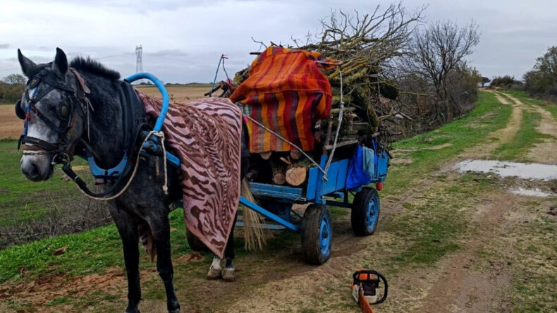 Merada İzinsiz Ağa&ccedil; Kesimi: İki Şahıs G&ouml;zaltında