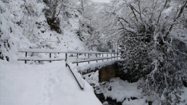 Meteoroloji, Doğu Karadeniz İ&ccedil;in Kar Uyarısında Bulundu