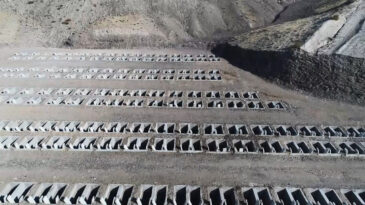 Mezar Ziyareti Dijital Ortama Taşındı: Tek Tıkla Fatiha Suresi