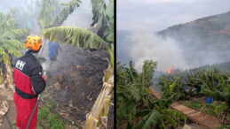 Muz Bah&ccedil;elerinde Yangın