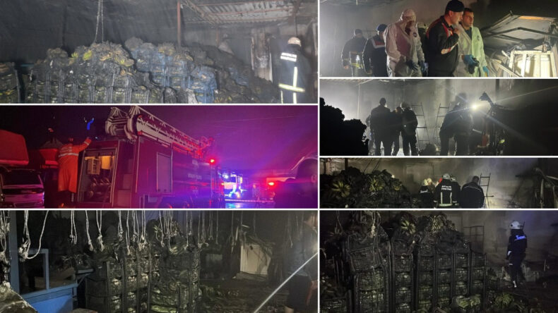 Muz Sarartma Tesisinde Yangın: Tonlarca Muz Zarar G&ouml;rd&uuml;