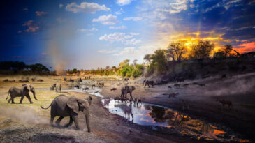 National Geographic'in Se&ccedil;imi: 2025 Yılının Unutulmaz Fotoğrafları