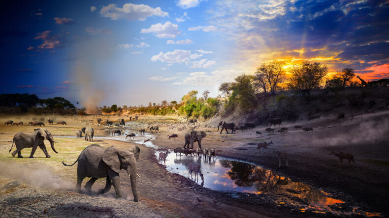 National Geographic'in Se&ccedil;imi: 2025 Yılının Unutulmaz Fotoğrafları