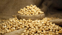 Nohutta İthalat Freni Tutmuyor