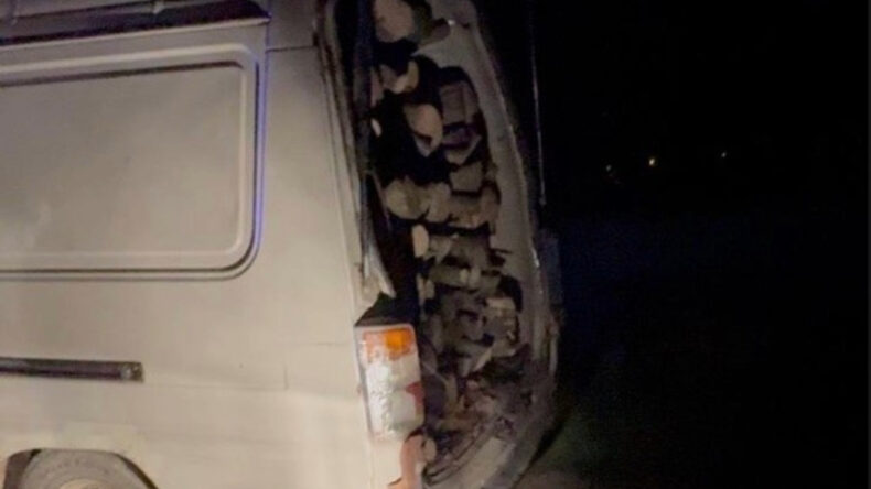 Odun Hırsızları Su&ccedil;&uuml;st&uuml; Yakalandı