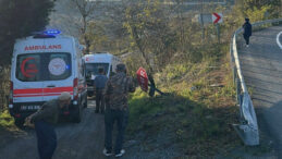 Otomobil Fındık Bah&ccedil;esine U&ccedil;tu: Anne ve Kızı Yaralandı