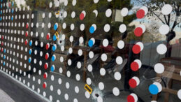 Pizzacıya Kurşun Saldırısı