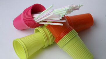 Plastik Bardaklardan İpliğe D&ouml;n&uuml;ş&uuml;m Projesi