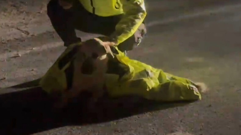 Polis Memurundan Şefkat Dolu Hareket: Yaralı K&ouml;peği Montuyla Korudu