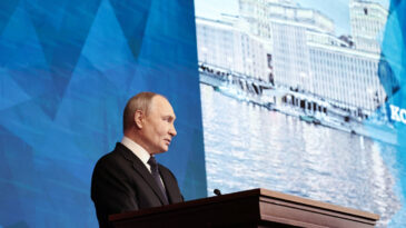 Putin'den Avrupalı liderlere: 'K&uuml;&ccedil;&uuml;k domuzlar'