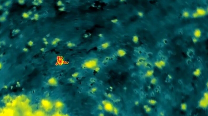 Saatlerdir Aranıyordu, Termal Kamera Tarafından Bulundu