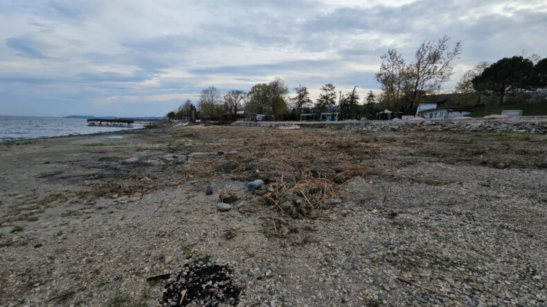 Sapanca G&ouml;l&uuml;'nde Kuraklık Alarmı: Muhtarlar &Ccedil;ağrı Yaptı