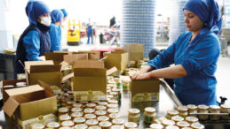 Sermaye T&uuml;kendi, Destek Şart Oldu