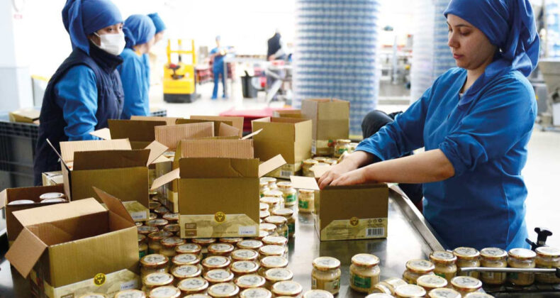 Sermaye T&uuml;kendi, Destek Şart Oldu