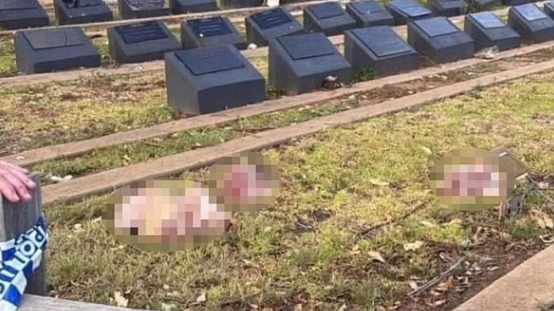 Şiddet Olayı Sonrası M&uuml;sl&uuml;man Mezarlığına Domuz Kafası Bırakıldı