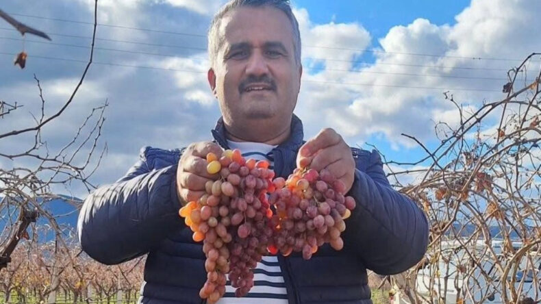 Soğuğa Dayanıklı, Kazancı Y&uuml;ksek: Kilosu 50 Lira Altına D&uuml;şmedi