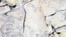 Tarih Yok Edildi, Bakanlık Seyretti