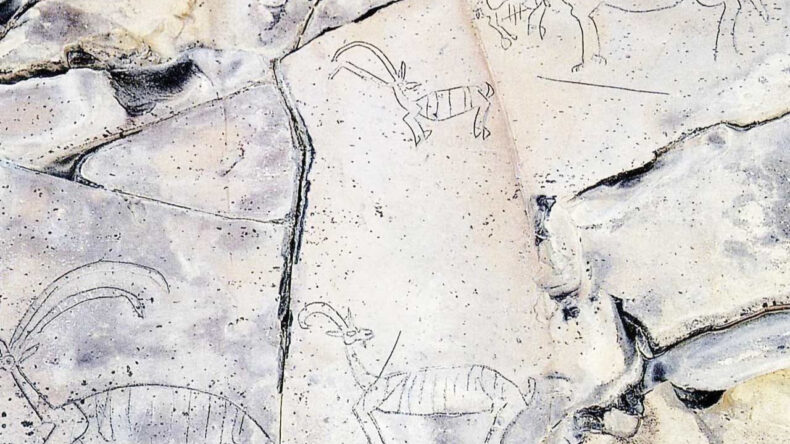 Tarih Yok Edildi, Bakanlık Seyretti