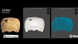 Tarihi Değiştirecek Bulgu: K&uuml;p Şeklinde Kafatası Bulundu