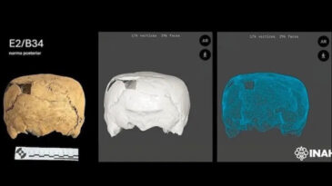 Tarihi Değiştirecek Bulgu: K&uuml;p Şeklinde Kafatası Bulundu