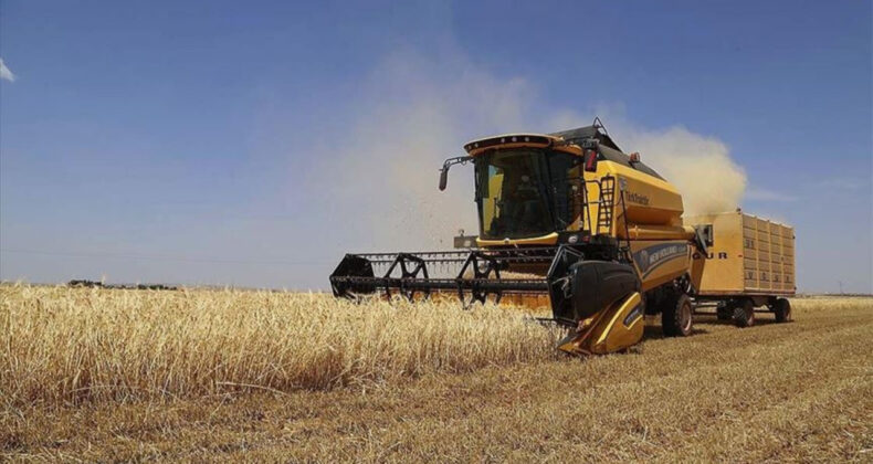 Tarımsal Girdi Enflasyonu Ekimde Yavaşladı