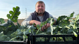 Tarladan Pazara Fiyat &Uuml;&ccedil; Kat Artıyor