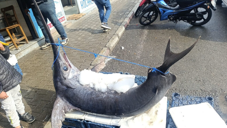 Tezgahta G&ouml;ren Bir Daha Baktı: Tam 138 Kilo