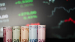 TL'nin reel değeri kasımda sınırlı geriledi