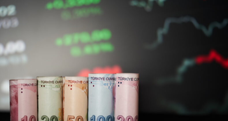 TL'nin reel değeri kasımda sınırlı geriledi