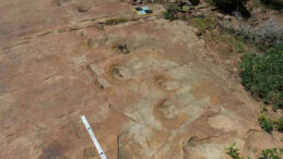 Topal Dinozor: Bilim İnsanları 150 Milyon Yıllık Ayak İzleri Keşfetti