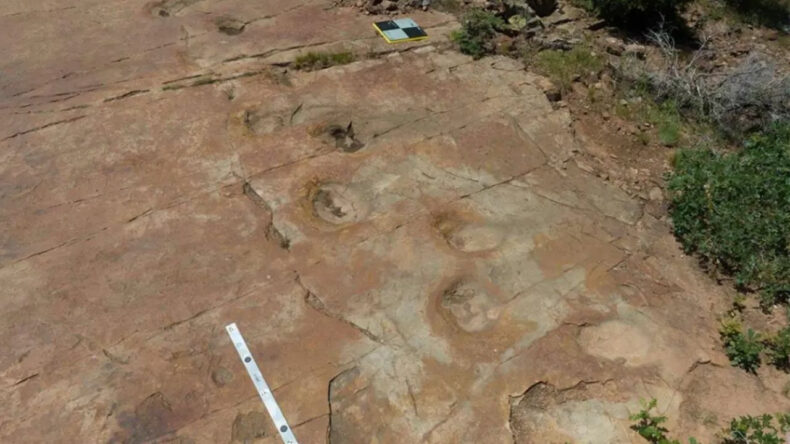 Topal Dinozor: Bilim İnsanları 150 Milyon Yıllık Ayak İzleri Keşfetti