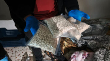 Torbacı Operasyonunda 5 Kişi Tutuklandı