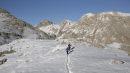 Tunceli'de Dağcıları &Ccedil;engel Boynuzlu Dağ Ke&ccedil;ileri Karşılıyor
