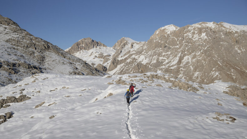 Tunceli'de Dağcıları Çengel Boynuzlu Dağ Keçileri Karşılıyor