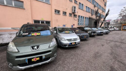 Tunceli'de G&uuml;mr&uuml;k Operasyonu: 7 Ara&ccedil; Ele Ge&ccedil;irildi