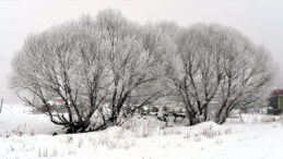 T&uuml;rkiye'nin En Soğuk Noktası Belli Oldu