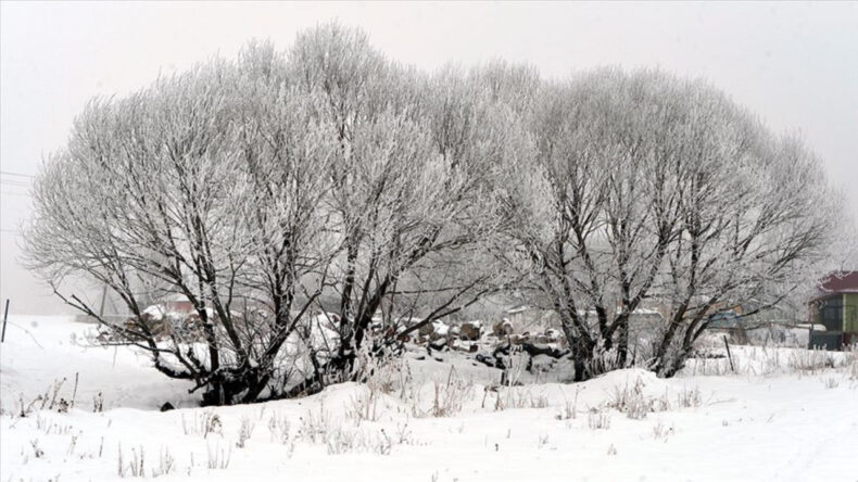 T&uuml;rkiye'nin En Soğuk Noktası Belli Oldu