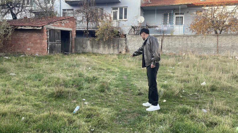 Vahşet: Arazide &ouml;ld&uuml;r&uuml;lm&uuml;ş kediler bulundu