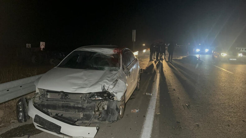 Valilik Duyurdu: Firari Atlarla İlgili Soruşturma Başlatıldı