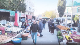 Vekil Emeklinin Halini G&ouml;rs&uuml;n