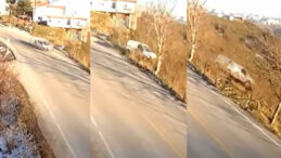 Virajı Alamayan Ara&ccedil; Fındık Bah&ccedil;esine Devrildi