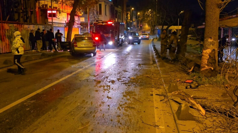 Virajı Alamayan Otomobil Ağaçla Çarpıştı: Sürücü Ehliyetsiz Çıktı